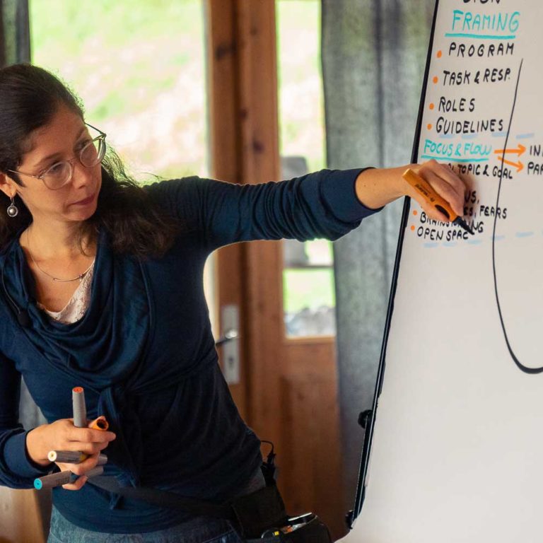 vizualis-coaching-visualive5